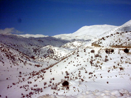 Sn� i Hermonbergen