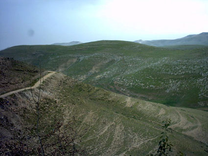 Juda �ken gr�nskar